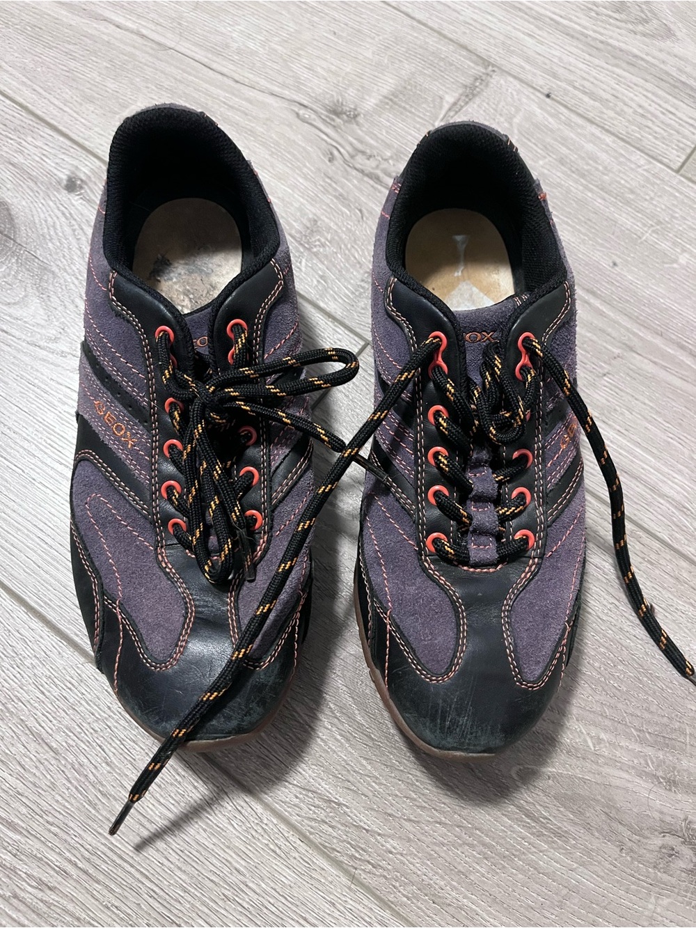 Casual Lace-Up Shoes in Purple and Black - GEOX